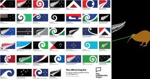 New Zealand, flags, flag, democracy, voting, Common Sense
