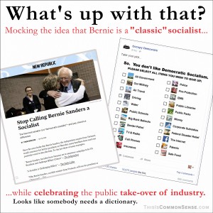 What's Up With That, socialism, Bernie Sanders, checklist, So you don't like Democratic Socialism, meme, illustration, response