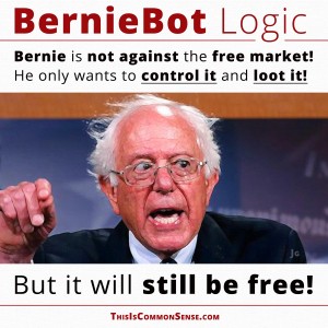 Bernie Sanders, Berniebot logic, Bernie is not against free markets, meme, Common Sense, mixed economy, democratic socialism