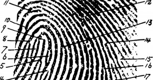 terrorism, surveillance, privacy, fingerprint, targeted, illustration