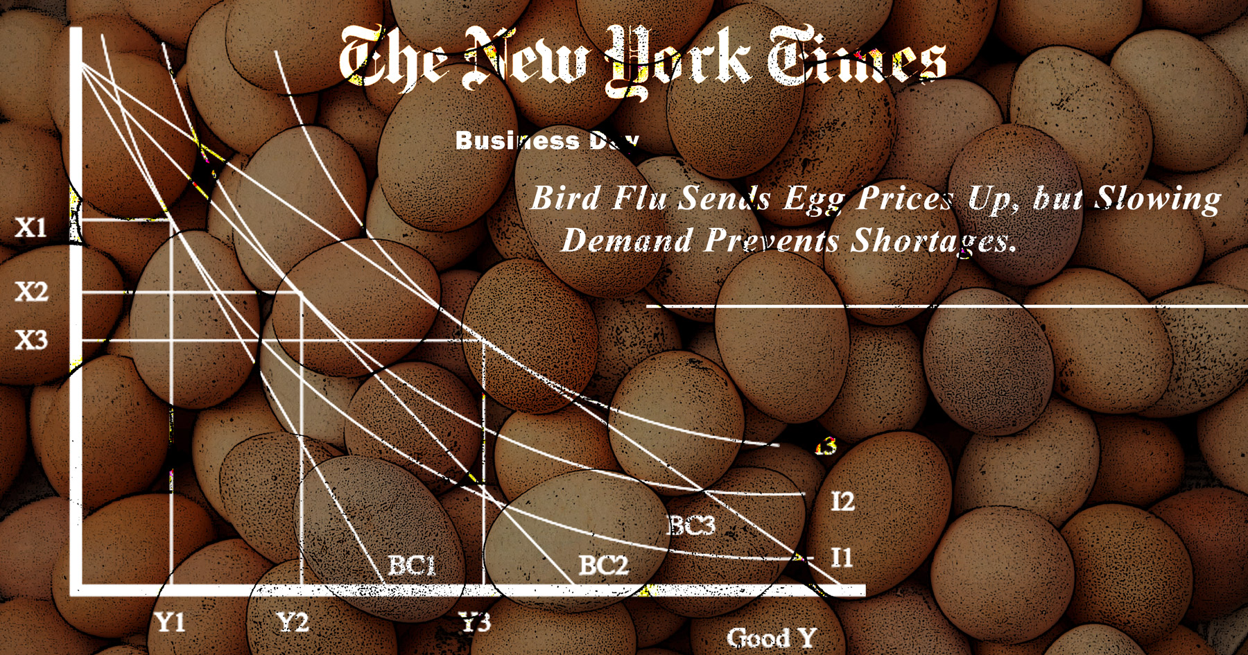 Eggs, New York Times, Economics, collage, photomontage, http://cognitivebiasparade.prosite.com/