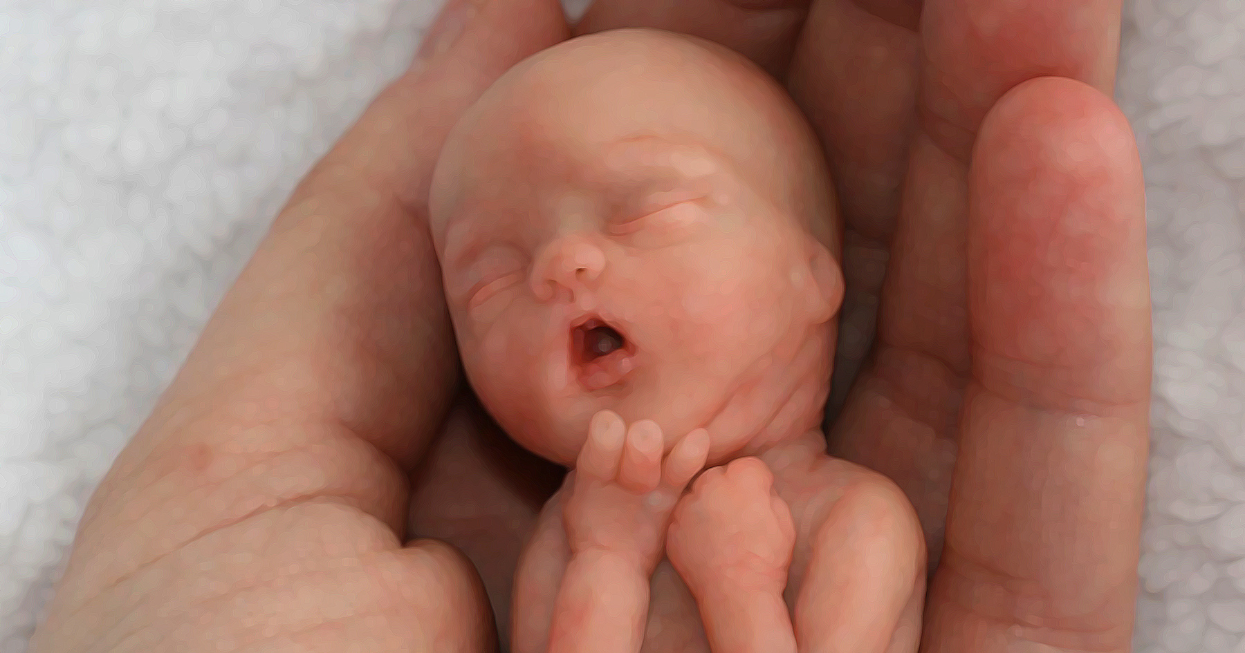 12 Week old fetus