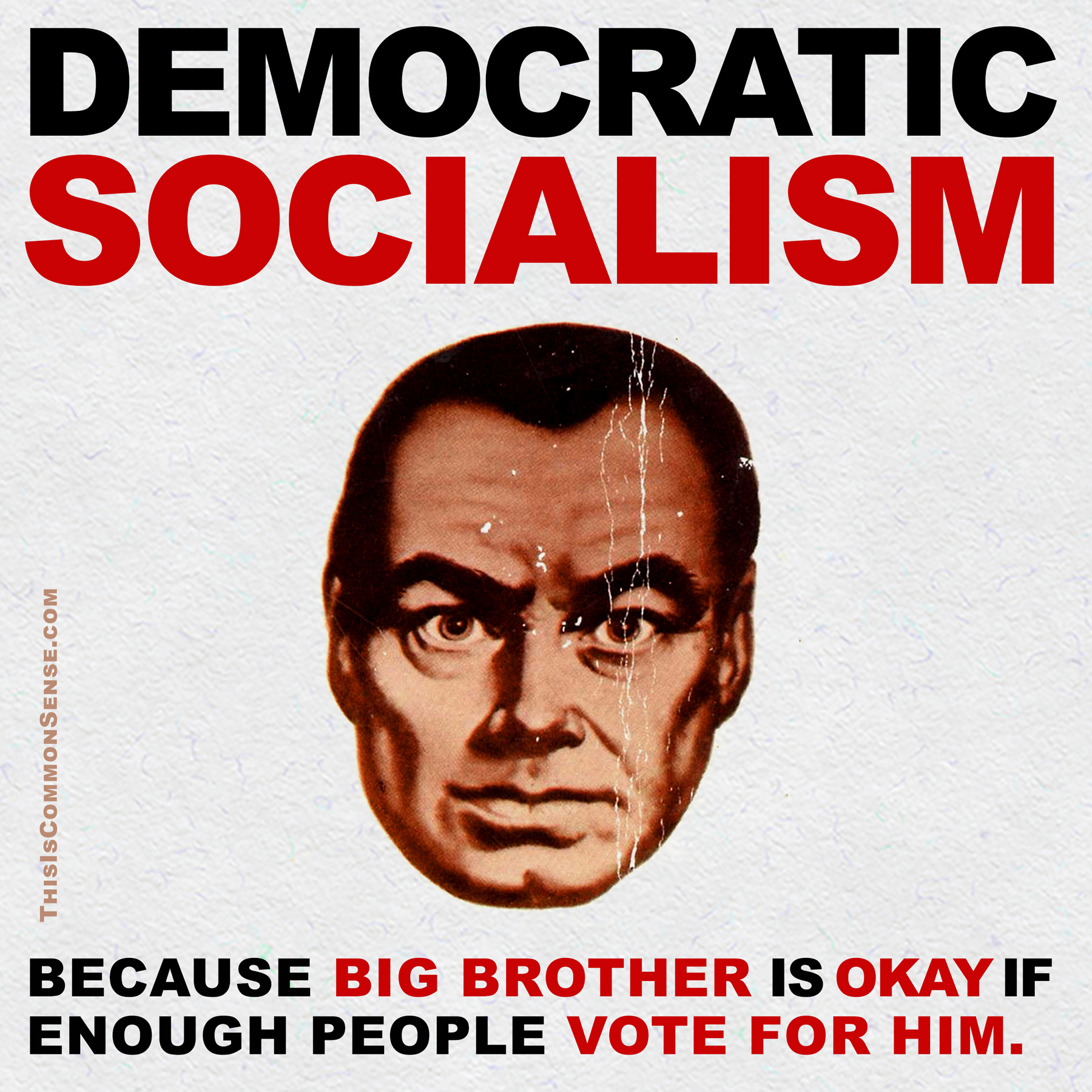 Democratic Socialism, Big Brother, socialism, vote, voting, egalitarian, meme, Jim Gill, Paul Jacob, Common Sense