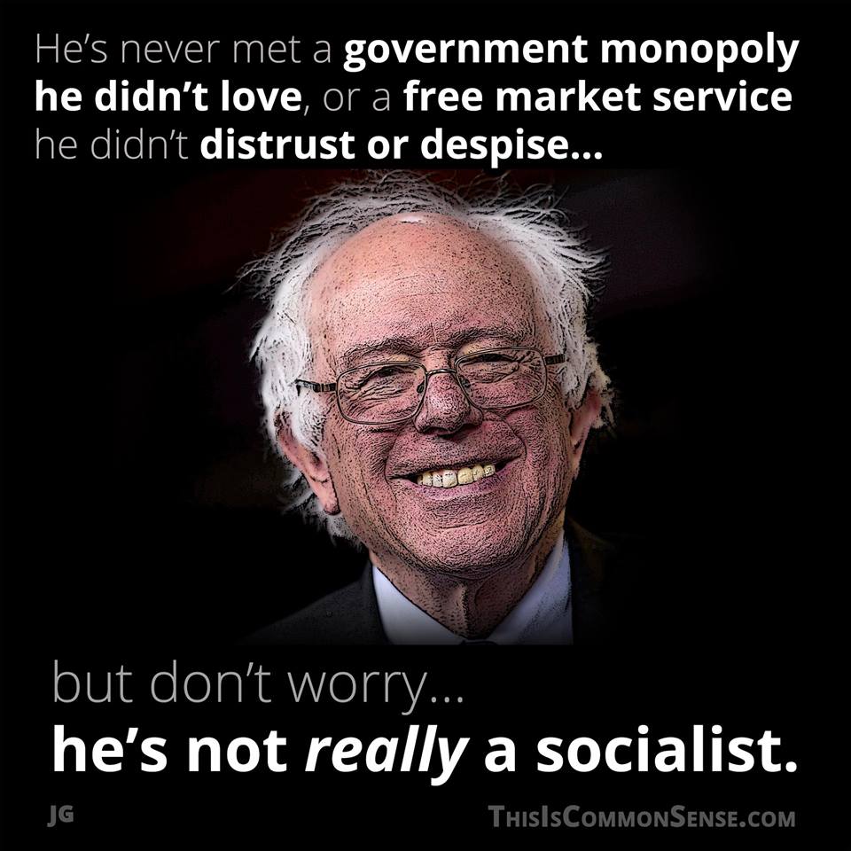 What Kind of a Socialist is Bernie?