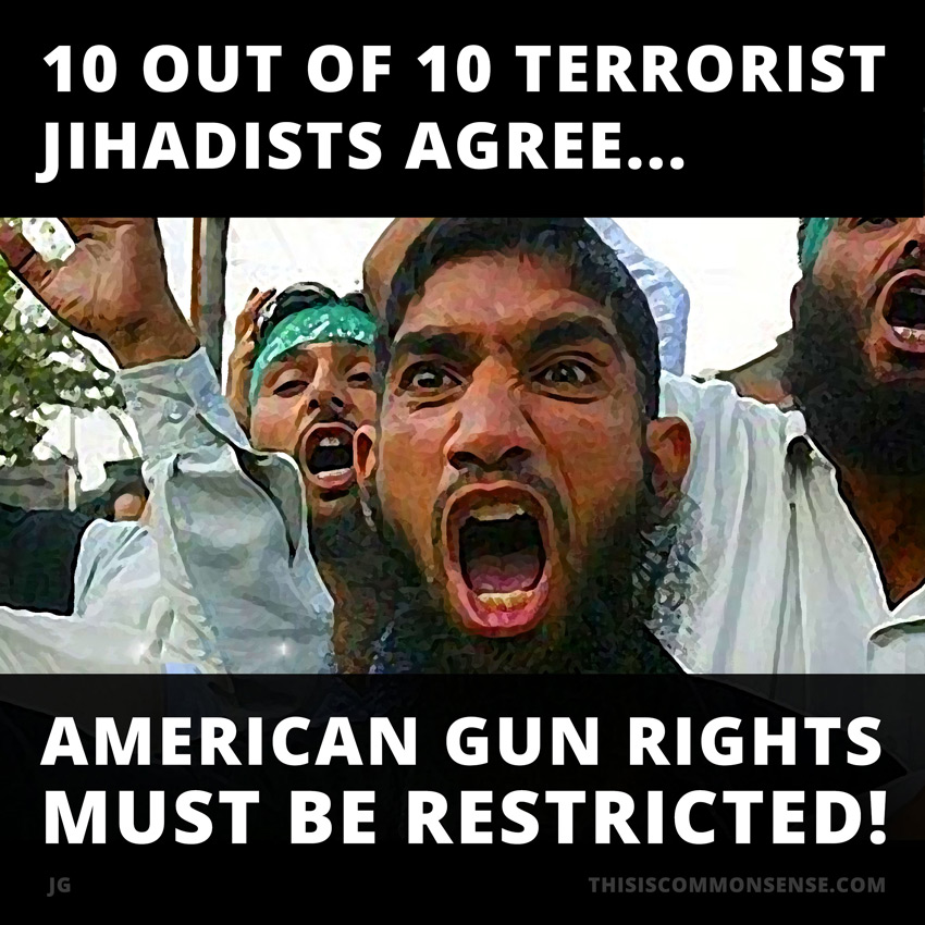 Muslim, terrorist, Jihadist, guns, gun rights, 2nd Amendment, illustration, meme