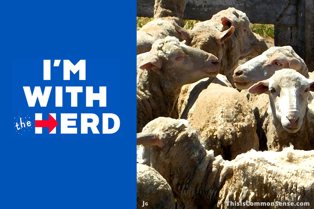 I'm With Her, I'm With the Herd, Hillary Clinton, slogan