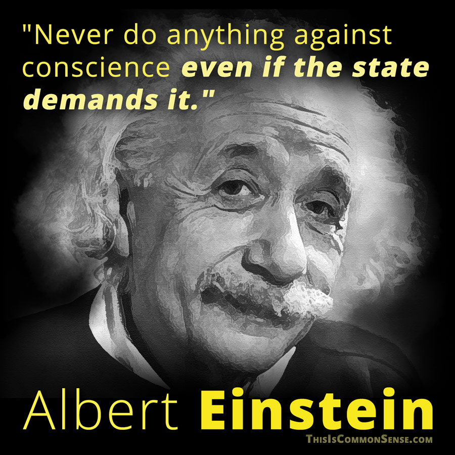 Einstein, quote, the state, conscience, meme, illustration