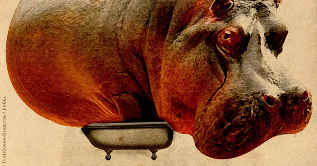 The Venezuela&nbsp;Chaos