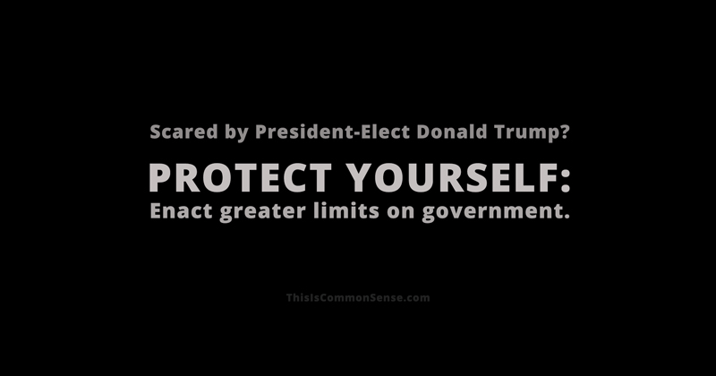 Protect Yourself, limited government, meme