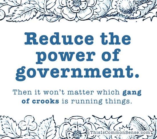 Reduce the power of government. meme