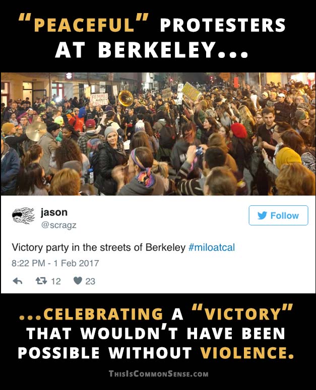 violence, peaceful, meme, protest, Milo, Berkeley
