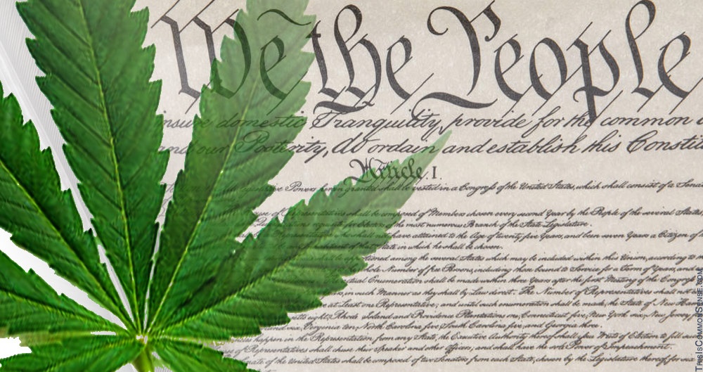 marijuana, constitution, intrastate, rights, legalization, decriminalization