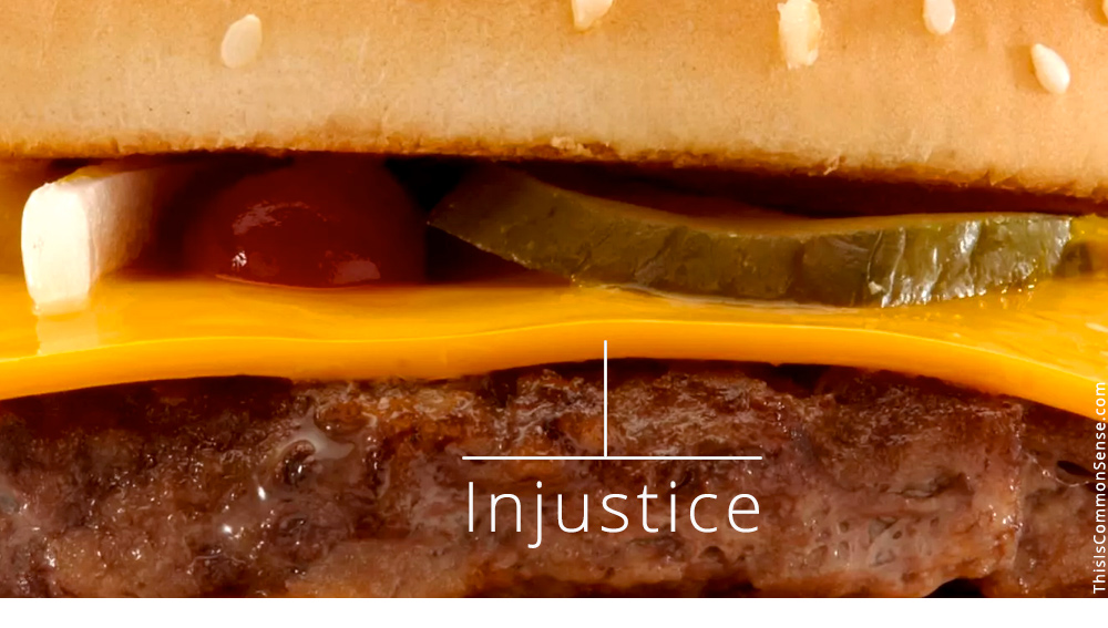 cheese, law suit, justice, McDonald's, hamburger, Florida, class action