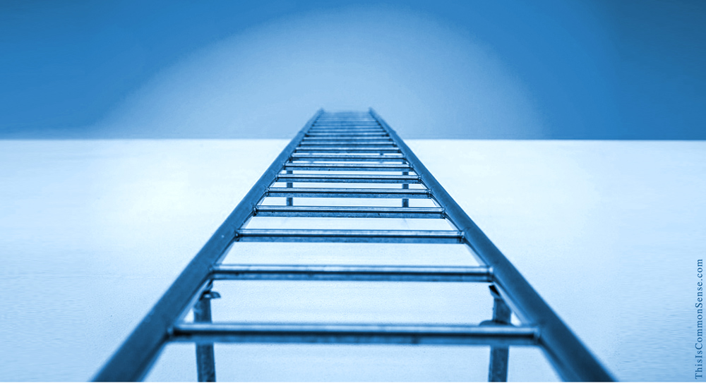 ladder, education, success, poverty, racism, schools, charter