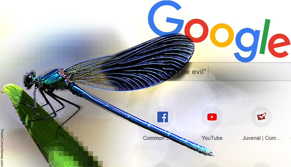 Google, don't be evil, China, censorship, free speech