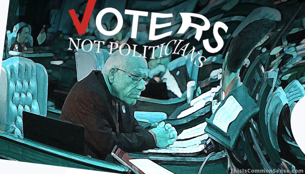 Politicians Not Voters