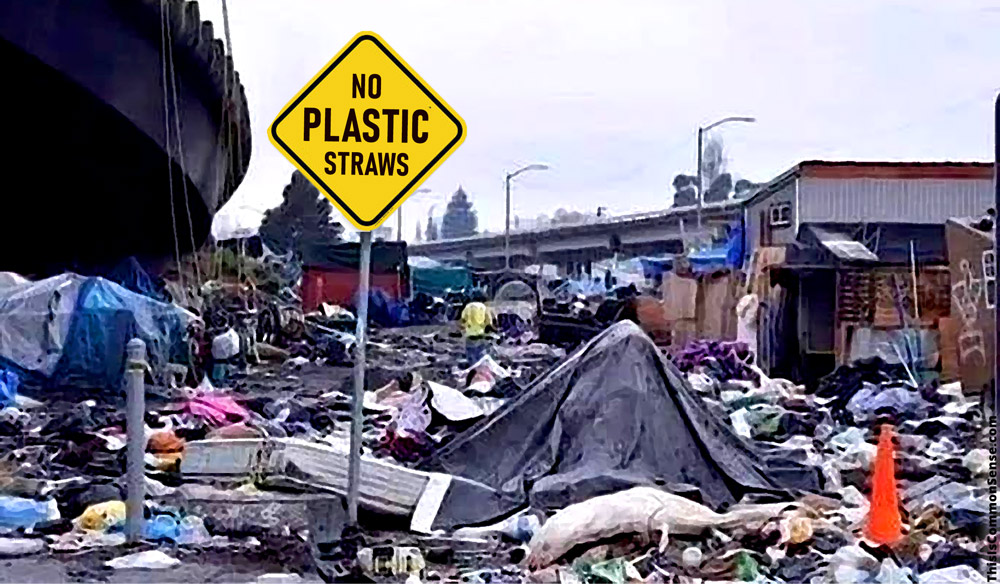 plastic, environmentalism, California, law, prohibitions, bans,