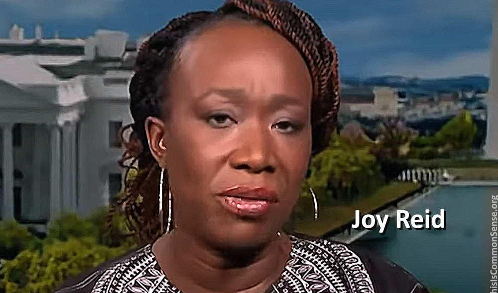 Joy Reid, MSNBC, homophobia,