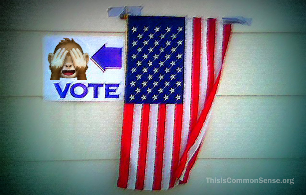 voting, democracy, alien, illegal, immigrant, noncitizen