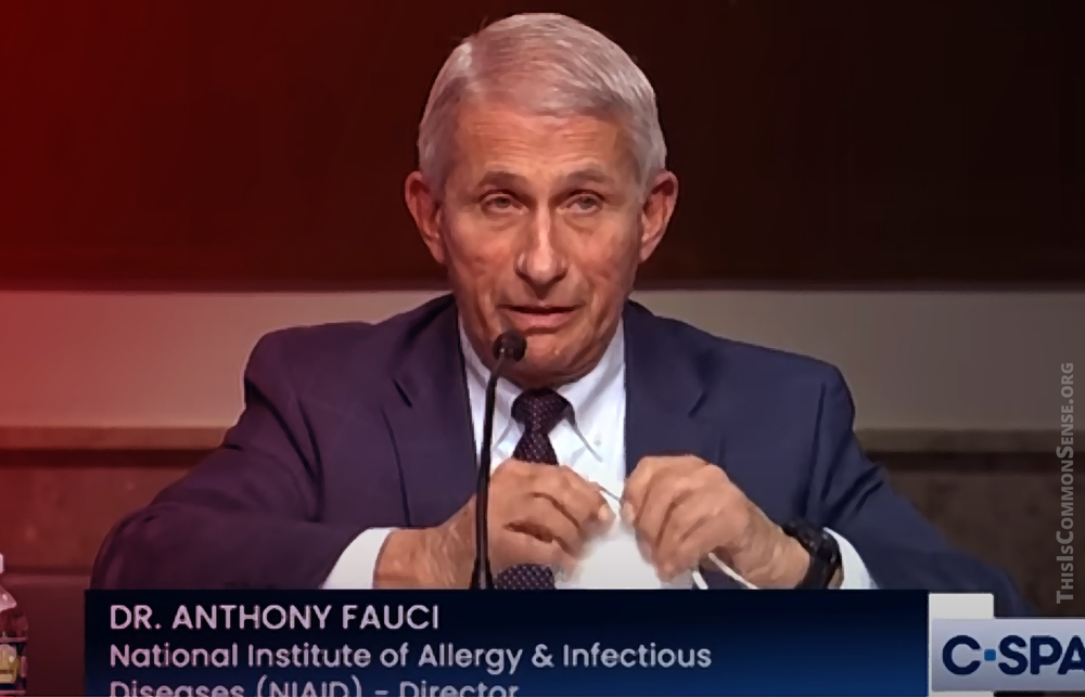 Dr. Anthony Fauci, Covid, Rand Paul
