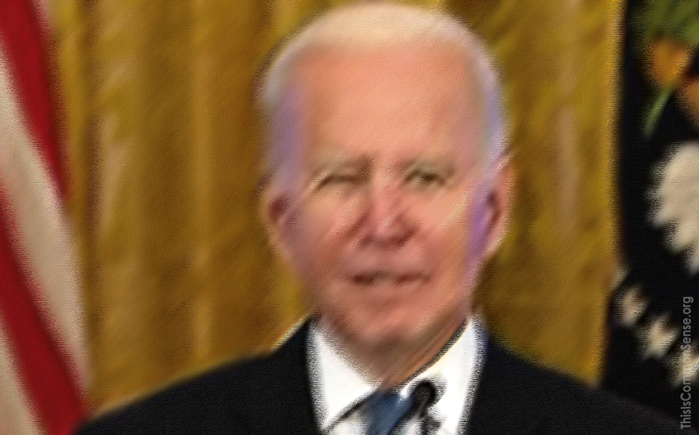 Joe Biden, SOB, stupid son of a bitch, press conference, Steve Doocy
