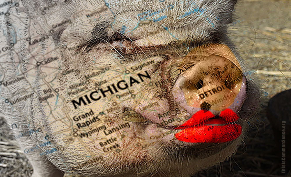 term limits, lipstick, pig, Michigan