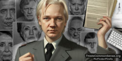 Assange: Freedom & Statuary