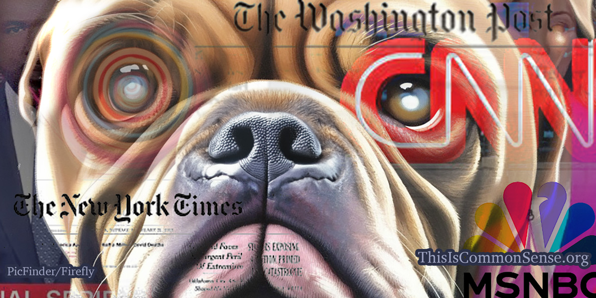 watchdog, guard dog, media, press, newspapers