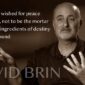 David Brin