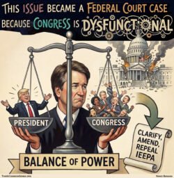 The Emergency Tariff&nbsp;Question