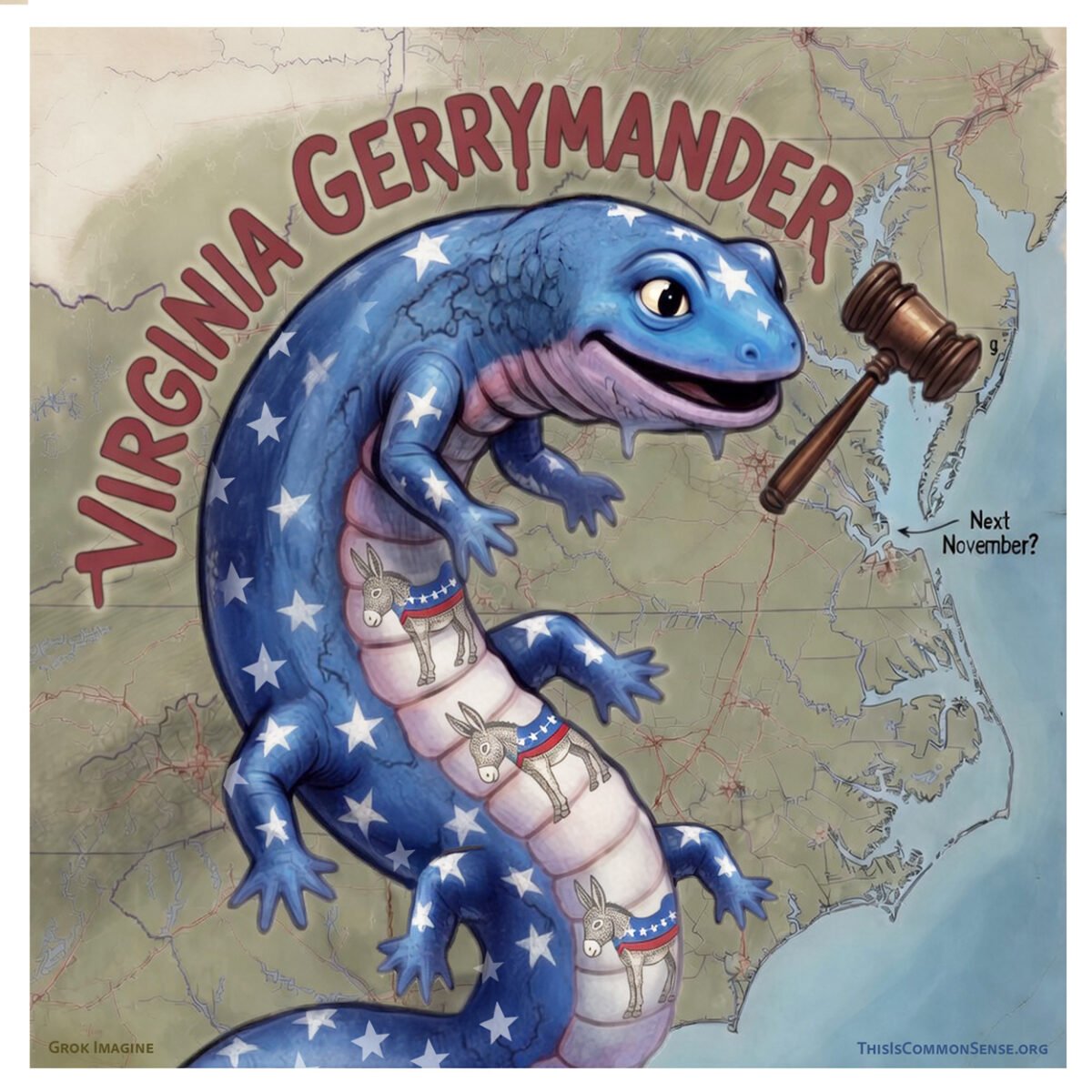 Gerrymander, Virginia, Circuit Court, voting, elections, democracy