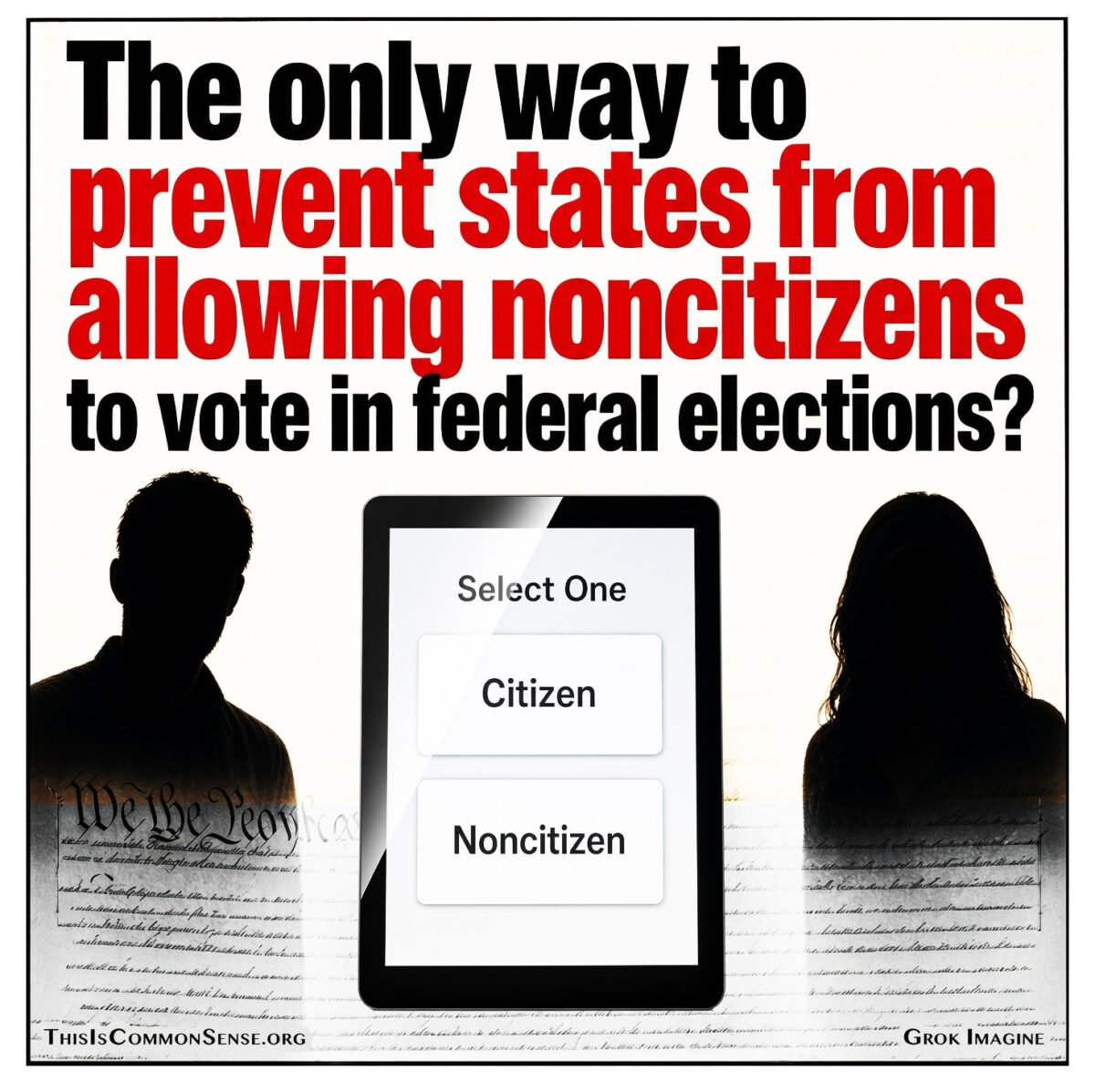 citizen, noncitizen, voting, immigration, democracy, elections