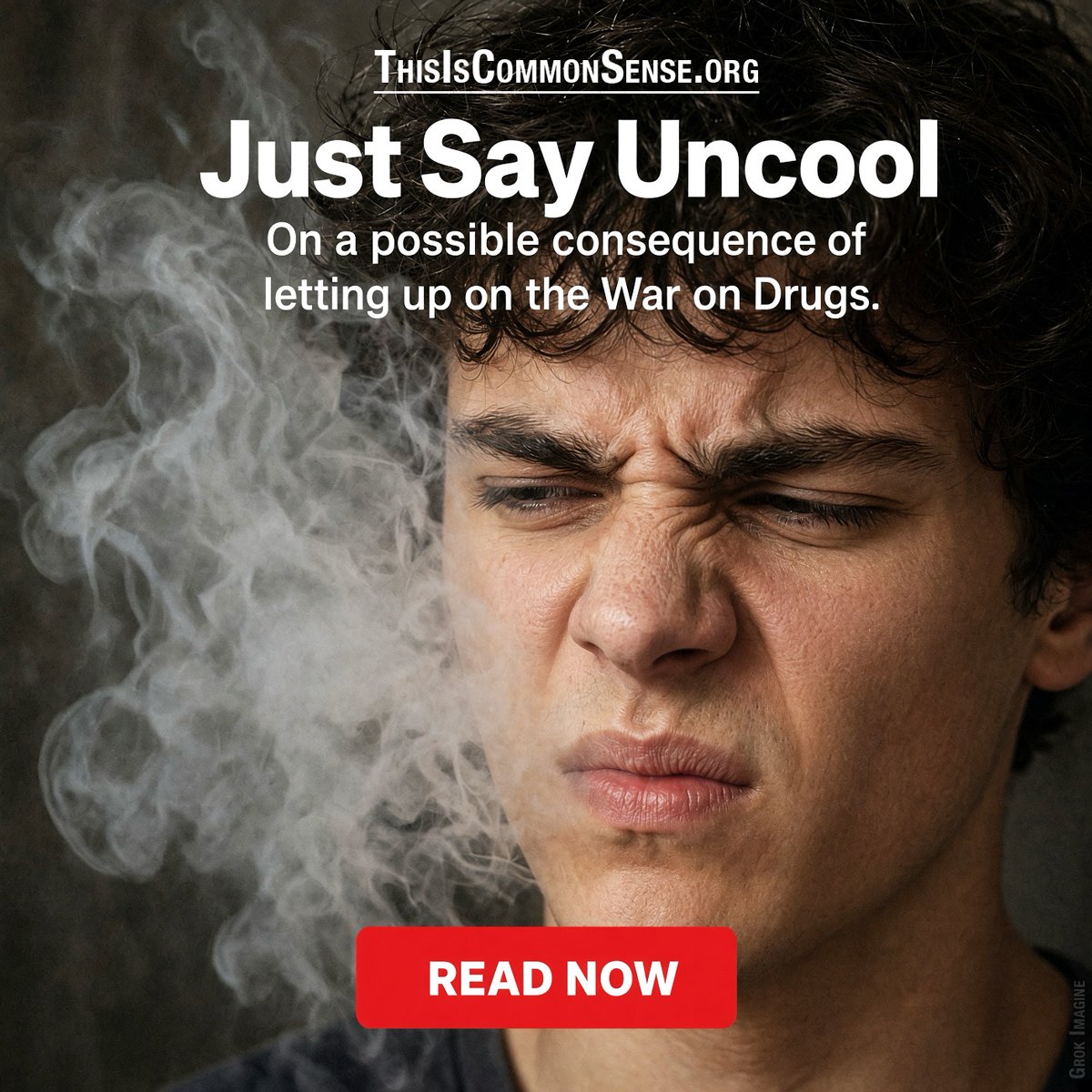 drug war, marijuana, prohibition, culture